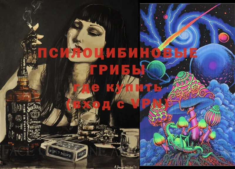 Псилоцибиновые грибы Magic Shrooms  Покровск 