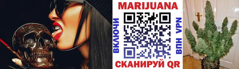 Каннабис OG Kush Покровск