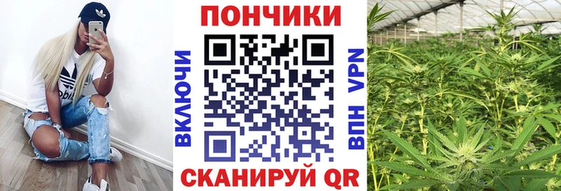 Шишки марихуана тримм  MEGA ONION  Покровск  закладки 